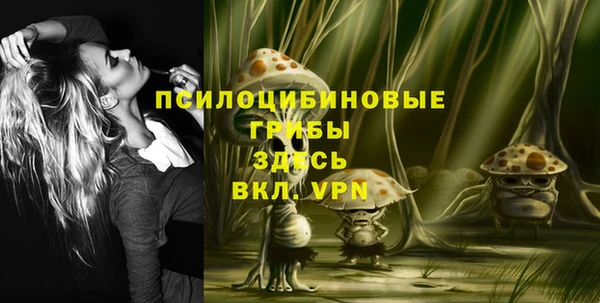 гидропоника Арсеньев