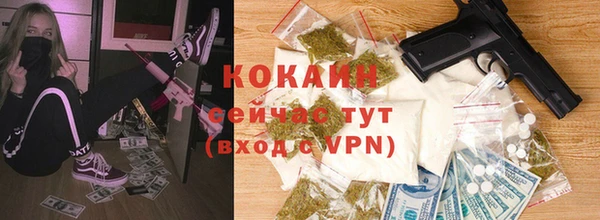 трава Аркадак
