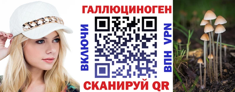 ОМГ ОМГ tor Набережные Челны Галлюциногенные грибы GOLDEN TEACHER